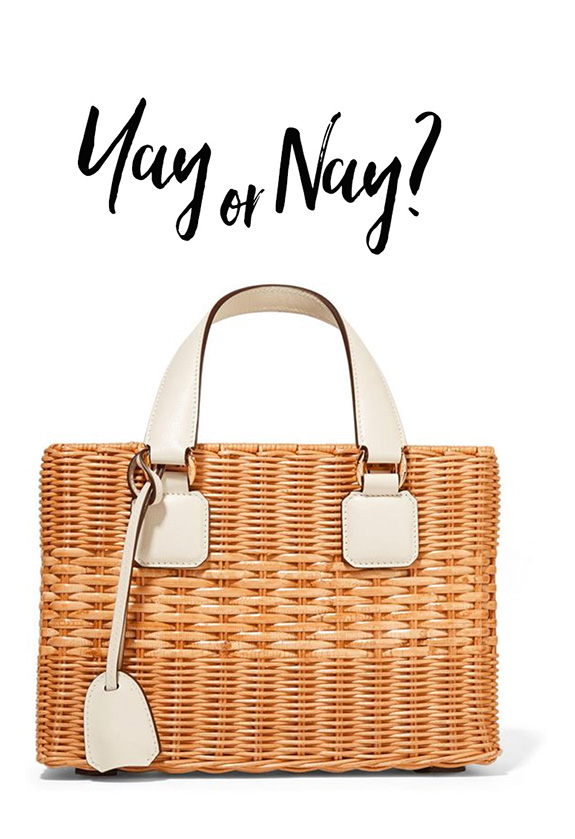 Download The Basket Bag Yay or Nay? - ALLIE NYC
